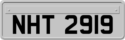 NHT2919