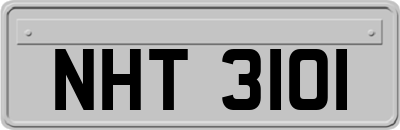 NHT3101