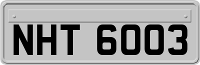 NHT6003