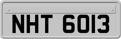 NHT6013