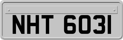NHT6031