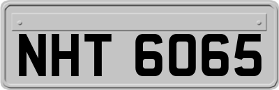 NHT6065
