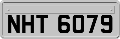 NHT6079