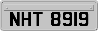 NHT8919