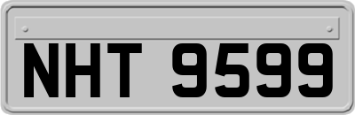 NHT9599