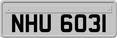 NHU6031