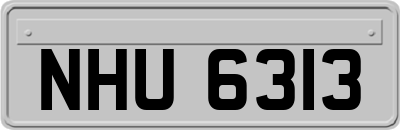 NHU6313