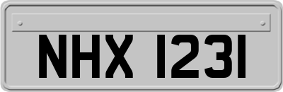 NHX1231
