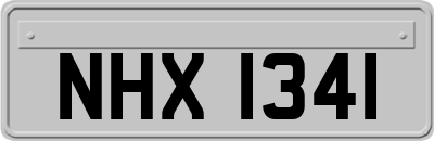 NHX1341