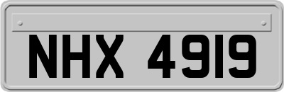 NHX4919