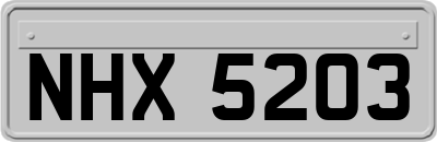 NHX5203