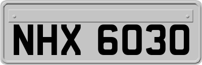 NHX6030