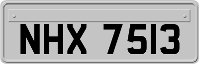 NHX7513