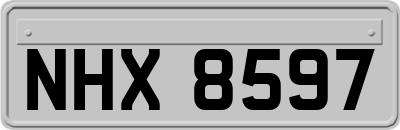 NHX8597