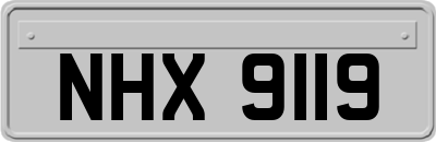 NHX9119