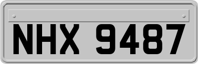 NHX9487