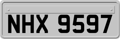 NHX9597