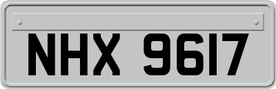 NHX9617