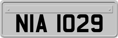 NIA1029