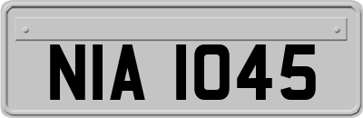 NIA1045