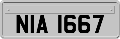 NIA1667