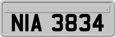 NIA3834