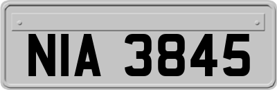 NIA3845