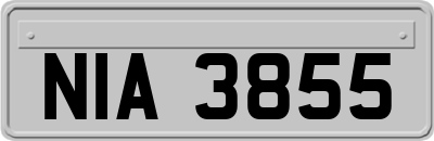 NIA3855
