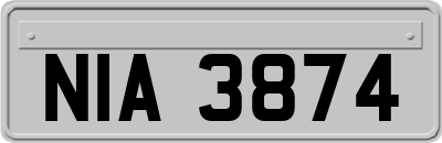 NIA3874