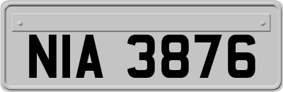 NIA3876