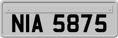 NIA5875