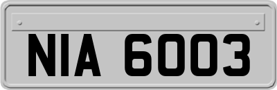 NIA6003