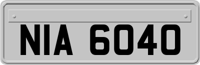 NIA6040