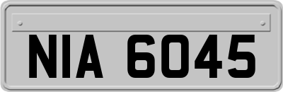 NIA6045