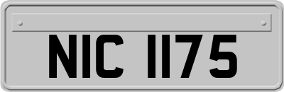 NIC1175