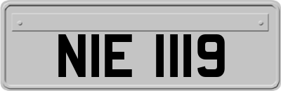 NIE1119