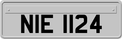 NIE1124