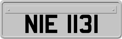 NIE1131