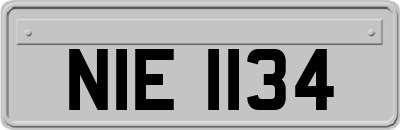 NIE1134
