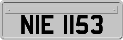 NIE1153