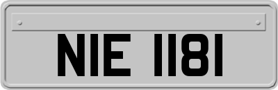 NIE1181