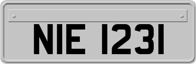 NIE1231