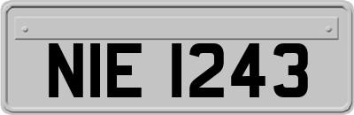 NIE1243