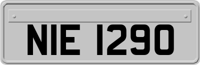 NIE1290
