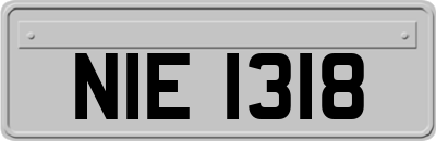 NIE1318