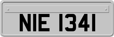 NIE1341