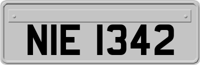 NIE1342