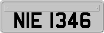 NIE1346