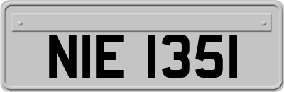 NIE1351