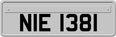 NIE1381